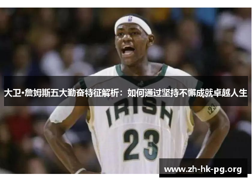 大卫·詹姆斯五大勤奋特征解析：如何通过坚持不懈成就卓越人生