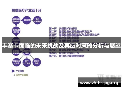 丰塞卡面临的未来挑战及其应对策略分析与展望