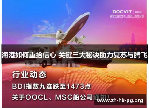 海港如何重拾信心 关键三大秘诀助力复苏与腾飞