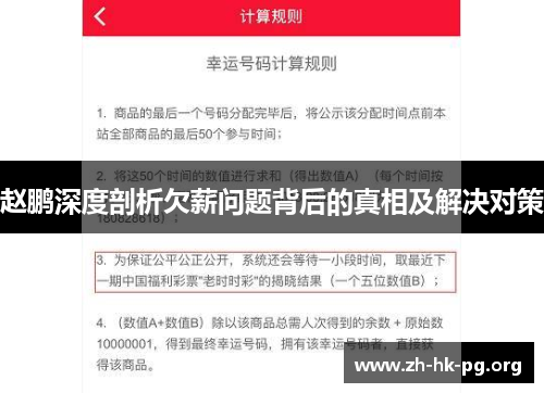 赵鹏深度剖析欠薪问题背后的真相及解决对策
