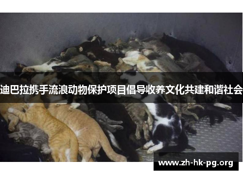 迪巴拉携手流浪动物保护项目倡导收养文化共建和谐社会