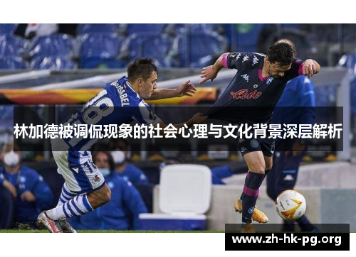 林加德被调侃现象的社会心理与文化背景深层解析